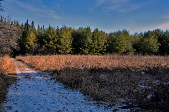 Photo credit: Jim Perry.