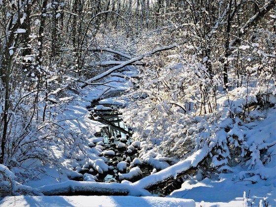 Compliments of Jim Perry.